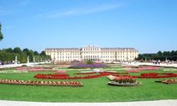 Wunderschöne Blumendekoration vor dem Wiener Schloss Schönbrunn.