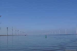 Blick auf einen Windmühlenpark im Ijsselmeer