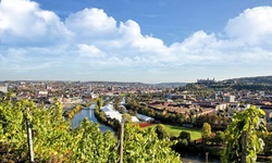 Weinberge am Main bei Würzburg.