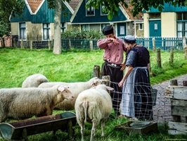 Traditionell gekleidete Frau und Mann beim Versorgen der Schafe