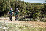 Zwei Mountainbiker auf einem sonnendurchfluteten Waldweg, der von dichtem, grünen Laubwerk gesäumt ist, Dalmatien, Kroatien