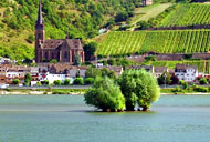 Rhein mit Insel und Weinbergen