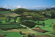 Landschaftsbild über das Piemont, im Hintergrund die schneebedeckten Alpen
